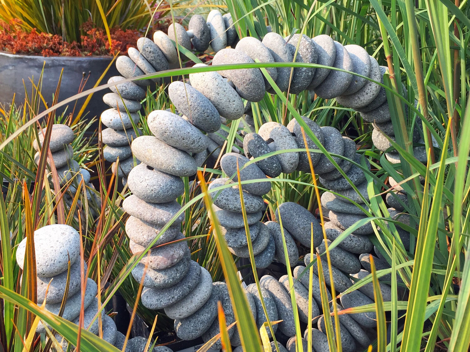 Garden Decor — Seattle's Favorite Garden Store Since 1924 - Swansons Nursery